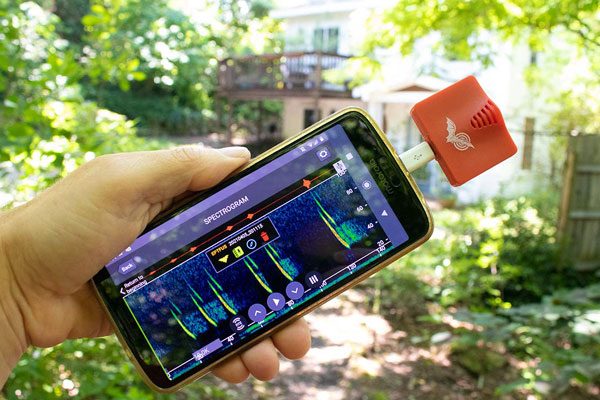 Bat-Assessment-using-Bat-sensing-devices