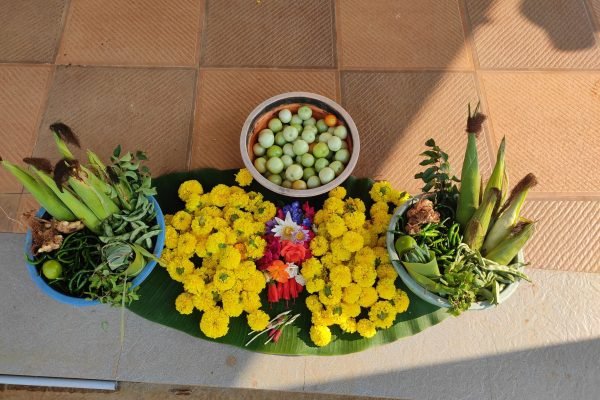 Seasonal Harvest
