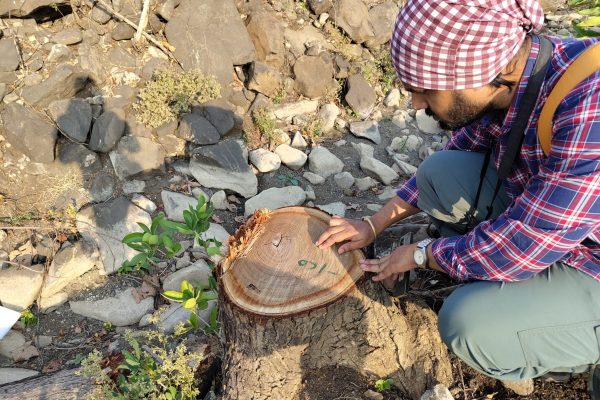 IMG_20230421_074605516