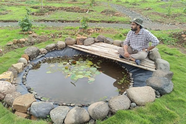 Habitat pond