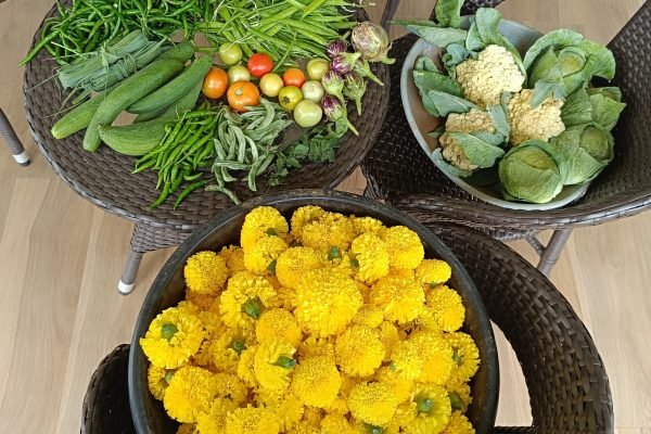Weekly Harvest